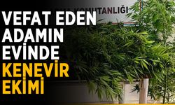 Vefat eden adamın evinde kenevir ekimi