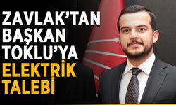 Zavlak’tan Başkan Toklu’ya elektrik talebi