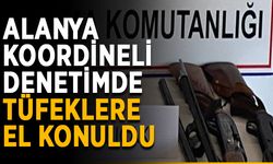 Alanya koordineli denetimde tüfeklere el konuldu