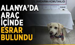 Alanya’da araç içinde esrar bulundu