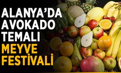Alanya’da avokado temalı meyve festivali