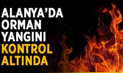Alanya’da orman yangını kontrol altında