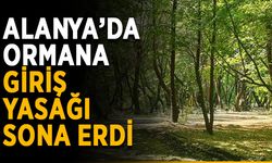 Alanya’da ormana giriş yasağı sona erdi