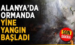 Alanya’da ormanda yine yangın başladı