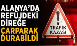 Alanya’da refüjdeki direğe çarparak durabildi