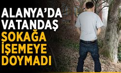 Alanya’da tuvalet eksik mi? Sokağa işemeye devam