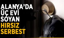 Alanya’da üç evi soyan hırsız serbest