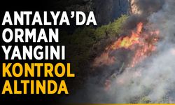 Antalya’da orman yangını kontrol altında