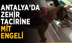 Antalya’da zehir tacirine MİT engeli