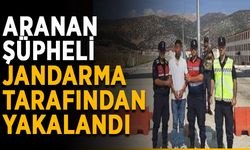 Aranan şüpheli jandarma tarafından yakalandı