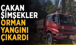 Çakan şimşekler orman yangını çıkardı