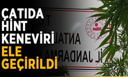 Çatıda hint keneviri ele geçirildi