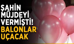Ela bebek için balonlar uçacak