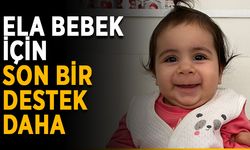 Ela bebek için son bir destek daha