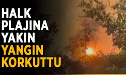 Halk plajına yakın yangın korkuttu