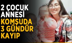 Komşuda kaybolan anneden haber yok