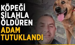 Köpeği silahla öldüren adam tutuklandı