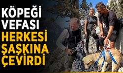 Köpeği vefası herkesi şaşkına çevirdi
