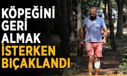 Köpeğini geri almak isterken bıçaklandı
