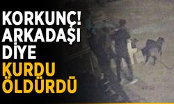 "Köpek Şahin'i vurdum, sıra gerçek Şahin'de"