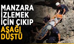 Manzara izlemek için çıkıp aşağı düştü