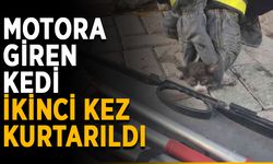 Motora giren kedi ikinci kez kurtarıldı