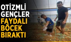 Otizmli gençler faydalı böcek bıraktı