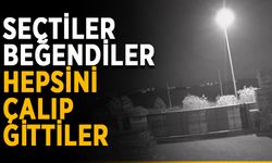 Seçtiler, beğendiler, hepsini çalıp gittiler