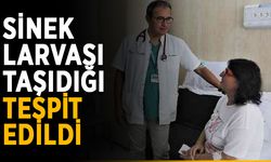 Sinek larvası taşıdığı tespit edildi