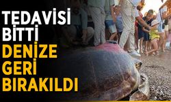 Tedavisi bitti, denize geri bırakıldı
