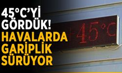 45 dereceyi gördük! Havalarda gariplik sürüyor