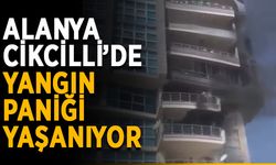 Alanya Cikcilli’de yangın paniği yaşanıyor