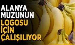 Alanya muzunun logosu için çalışılıyor