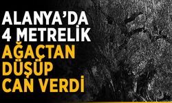 Alanya’da 4 metrelik ağaçtan düşüp can verdi