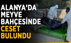 Alanya’da meyve bahçesinde ceset bulundu