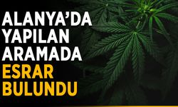 Alanya’da yapılan aramada esrar bulundu