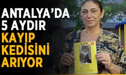 Antalya’da 5 aydır kayıp kedisini arıyor