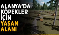 Başkan Yücel herkesi davet etti