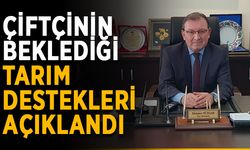 Çiftçinin beklediği tarım destekleri açıklandı