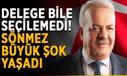 Delege bile seçilemedi! Sönmez büyük şok yaşadı