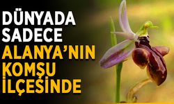 Dünyada sadece Alanya’nın komşu ilçesinde