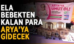 Ela bebekten kalan para Arya bebeğe gidecek