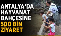 Hayvanat bahçesini 500 bin kişi ziyaret etti