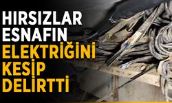 Hırsızlar esnafın elektriğini kesip delirtti