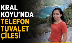 Kral Koyu'nda telefon ve tuvalet çilesi