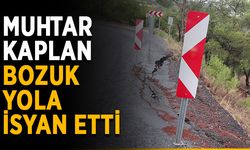 Muhtar Kaplan bozuk yola isyan etti