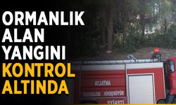 Ormanlık alan yangını kontrol altında