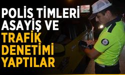Polis timleri asayiş ve trafik denetimi yaptılar