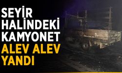 Seyir halindeki kamyonet alev alev yandı