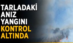 Tarladaki anız yangını kontrol altında